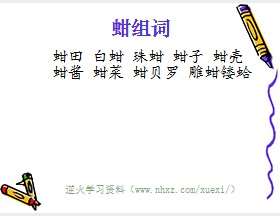 蚶组词