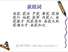 荻组词