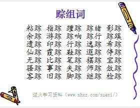 踪组词
