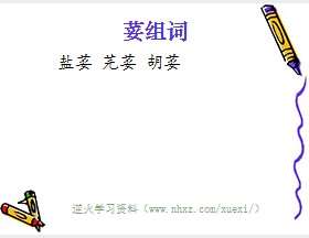 荽组词