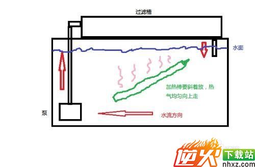 水族箱使用加热棒的注意事项