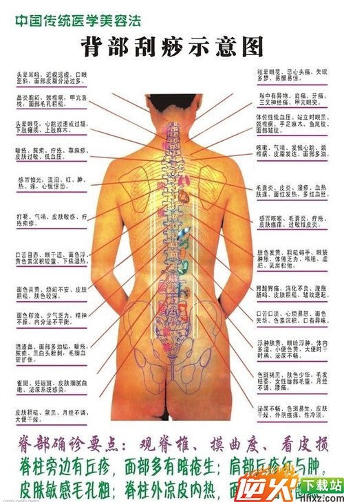 怎样背部刮痧