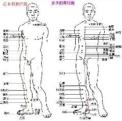 怎样背部刮痧