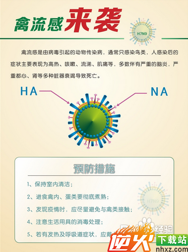 怎样预防 N7H9禽流感