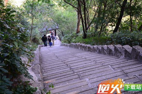 【深圳免费景点篇】深圳南山公园游玩攻略