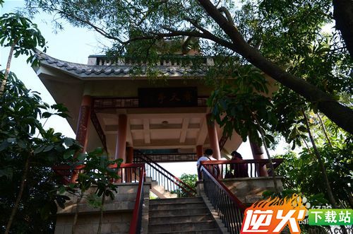 【深圳免费景点篇】深圳南山公园游玩攻略