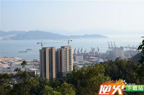 【深圳免费景点篇】深圳南山公园游玩攻略