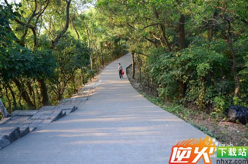 【深圳免费景点篇】深圳南山公园游玩攻略