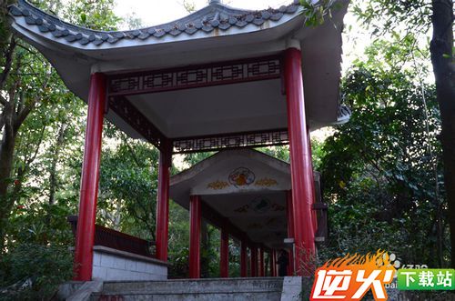 【深圳免费景点篇】深圳南山公园游玩攻略