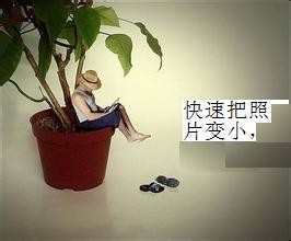 怎么将几M的照片，秒速变小