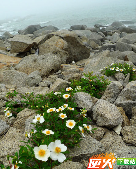 菊花岛旅游攻略