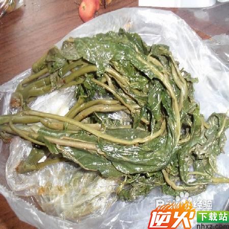 吃香椿芽的注意事项