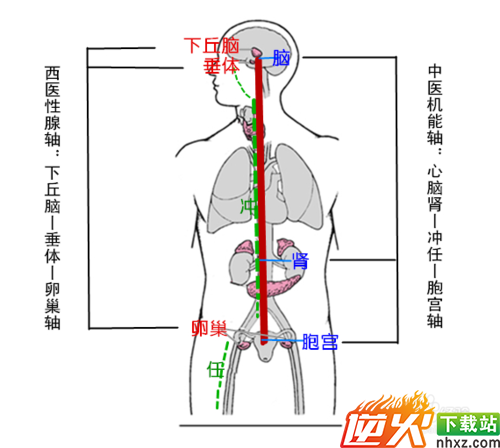 乳腺增生吃什么药最好？乳腺增生吃什么药好？