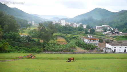 独自下乡 乡村有着一片美丽的风景