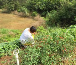 用随心随喜的方式继续延续这些旧物的生命轨迹