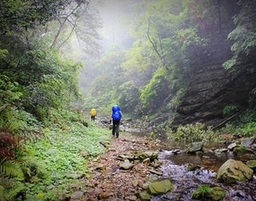 队友与队友间的风雨同路，就是最真的情谊与感动