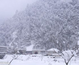 自然地期待自己能踩在雪地上，并在飘雪中游走